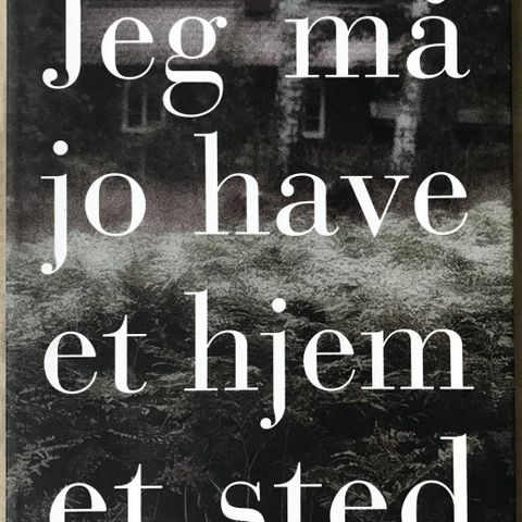 Annoncebillede