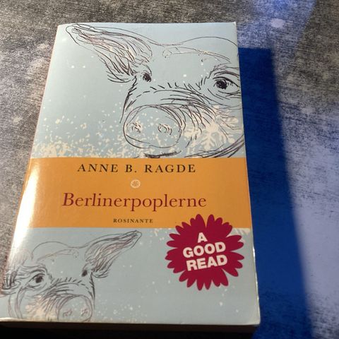 Annoncebillede