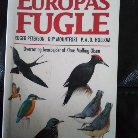 Annoncebillede