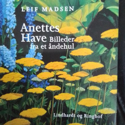 Annoncebillede