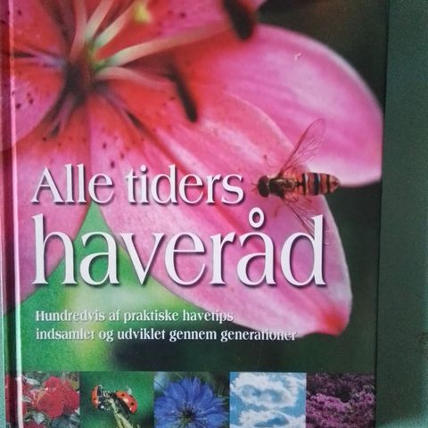 Annoncebillede