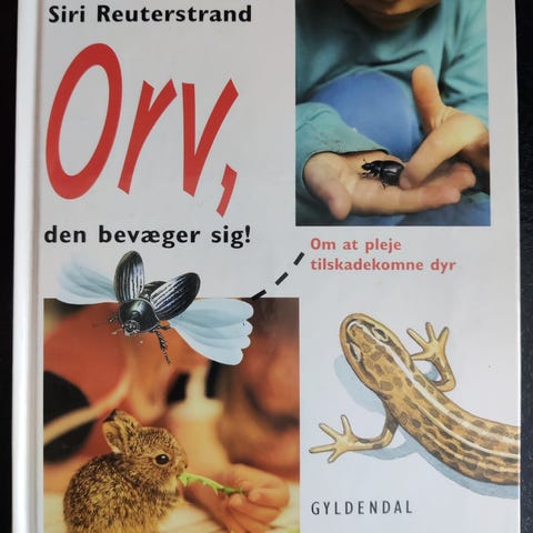 Annoncebillede