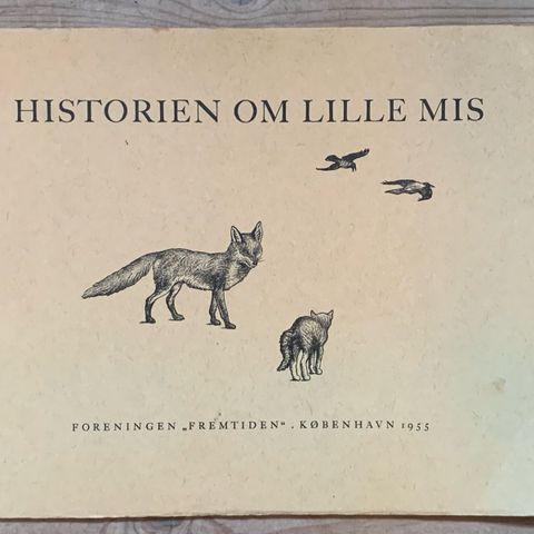 Annoncebillede