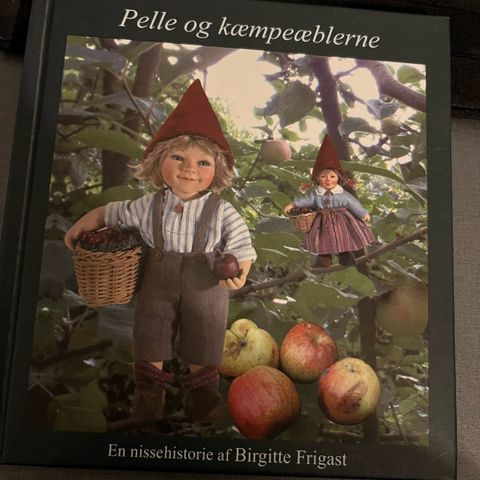 Annoncebillede