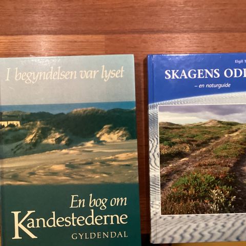 Annoncebillede