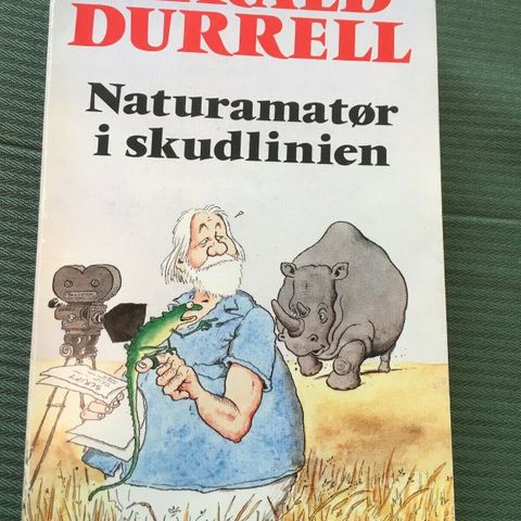 Annoncebillede