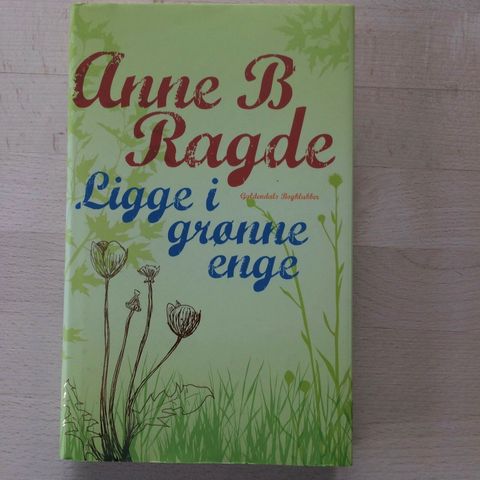 Annoncebillede
