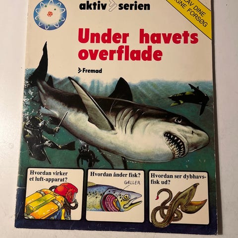Annoncebillede