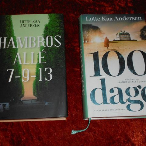 Annoncebillede