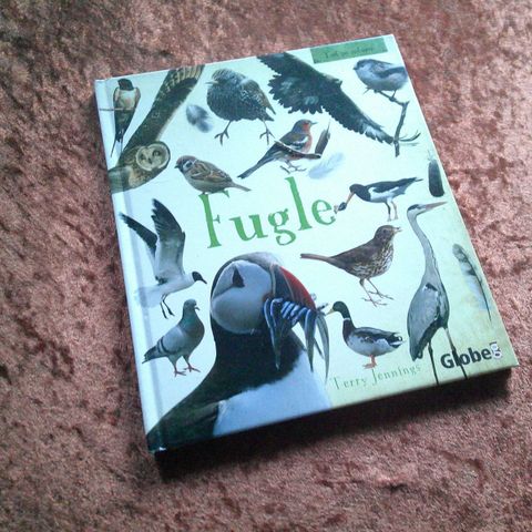 Annoncebillede