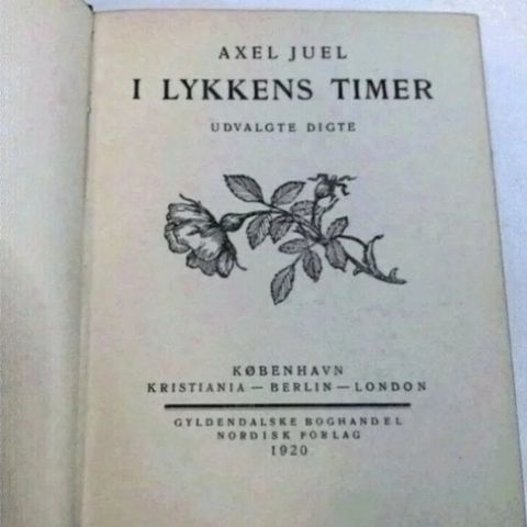 Annoncebillede