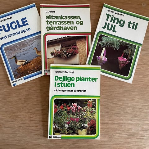 Annoncebillede