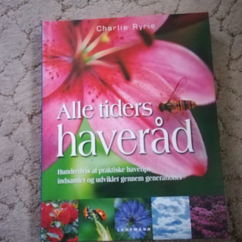 Annoncebillede