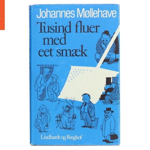 Annoncebillede