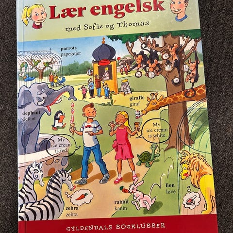 Annoncebillede