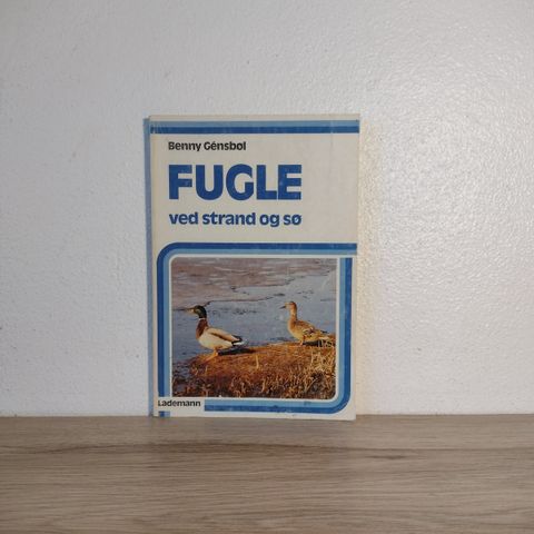 Annoncebillede