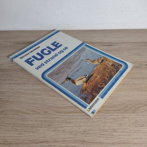Annoncebillede