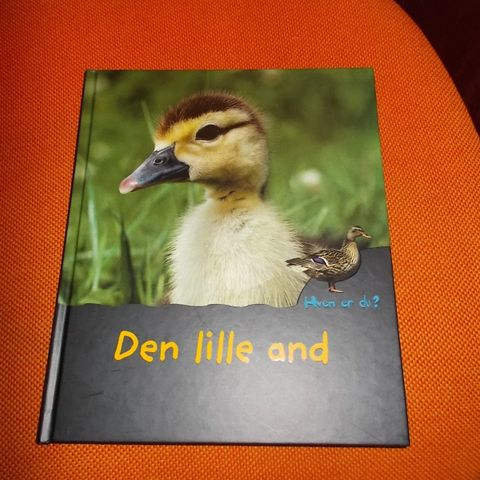 Annoncebillede