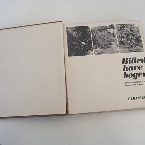 Annoncebillede