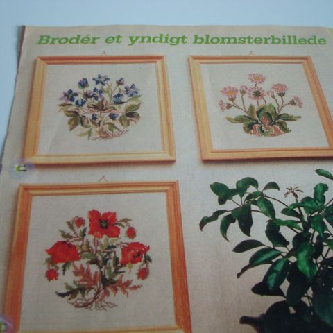 Annoncebillede