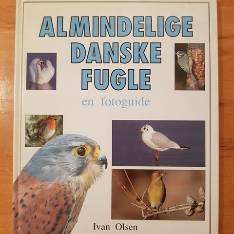 Annoncebillede