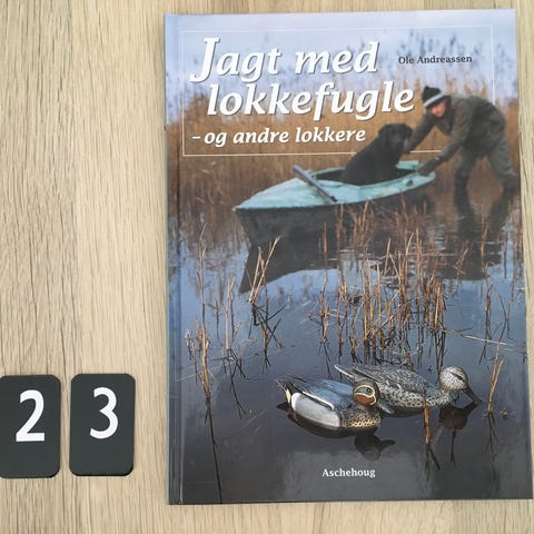 Annoncebillede