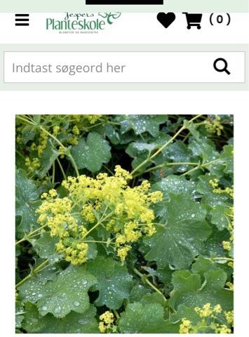 Annoncebillede