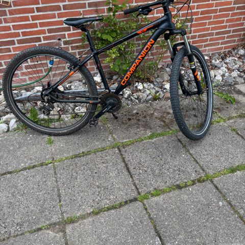 Annoncebillede