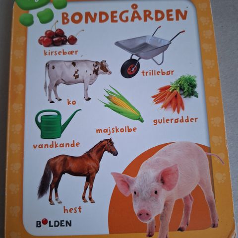 Annoncebillede