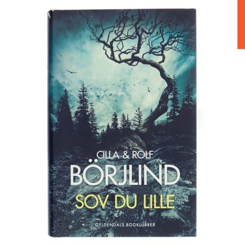 Annoncebillede