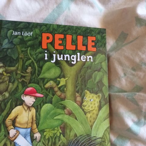 Annoncebillede