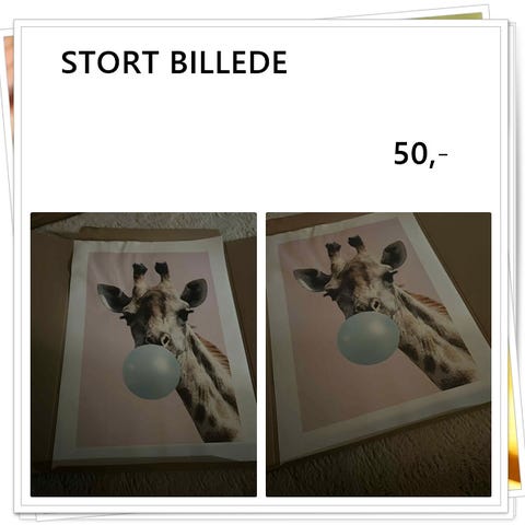 Annoncebillede