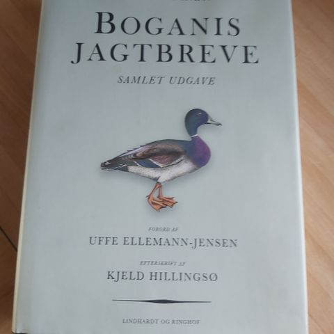 Annoncebillede