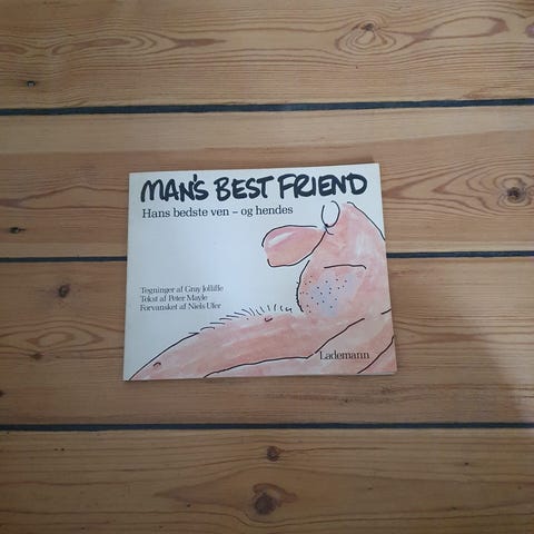 Annoncebillede