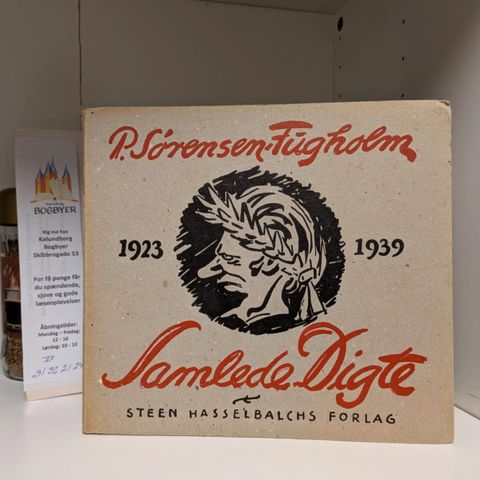Annoncebillede