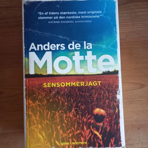 Annoncebillede
