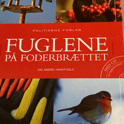 Annoncebillede