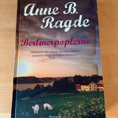 Annoncebillede