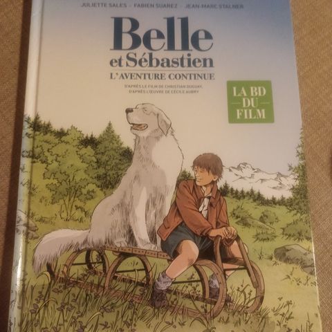 Annoncebillede