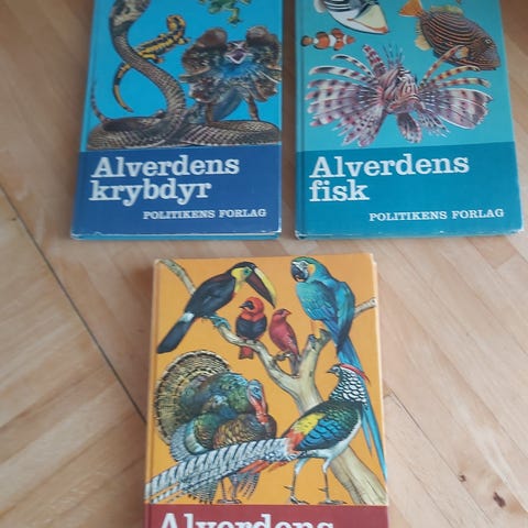 Annoncebillede