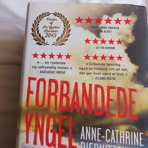 Annoncebillede