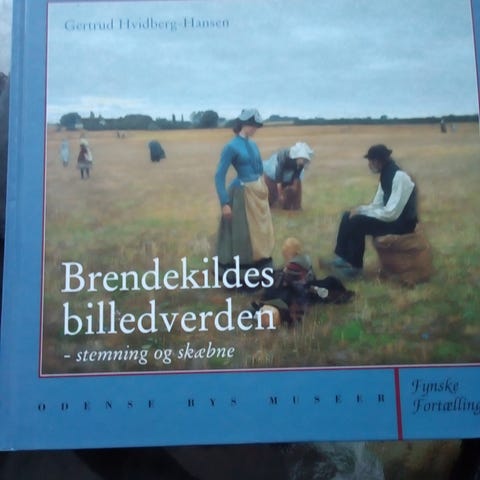 Annoncebillede