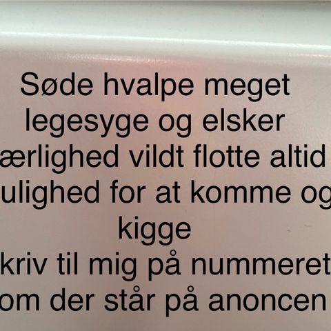 Annoncebillede