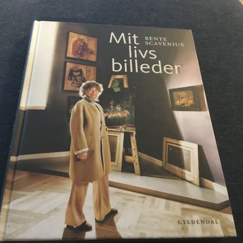 Annoncebillede