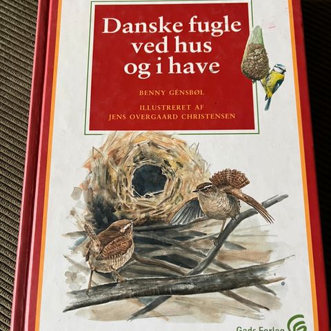 Annoncebillede
