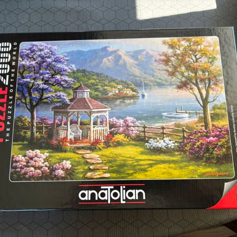 Annoncebillede