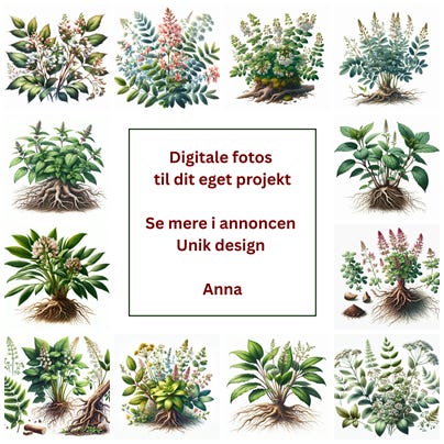 Annoncebillede