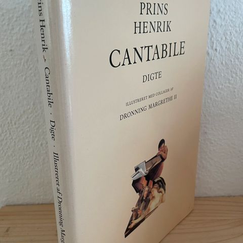 Annoncebillede