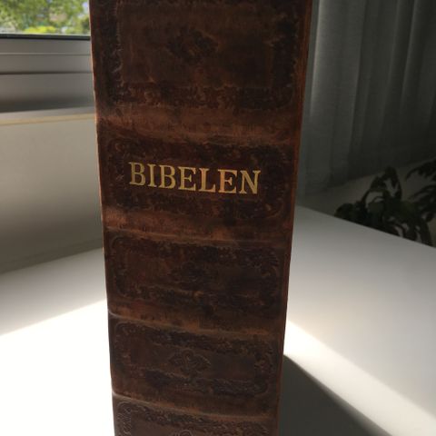 Annoncebillede