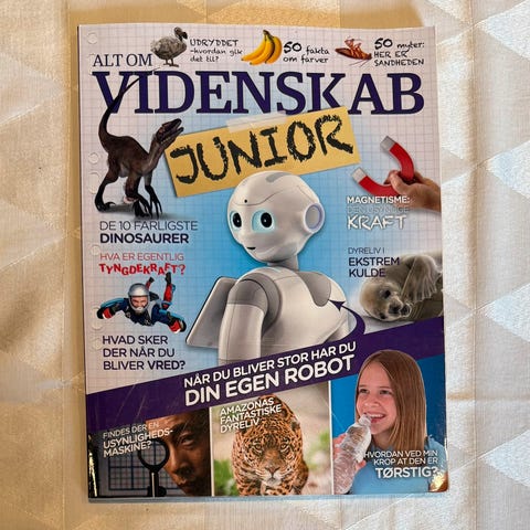 Annoncebillede